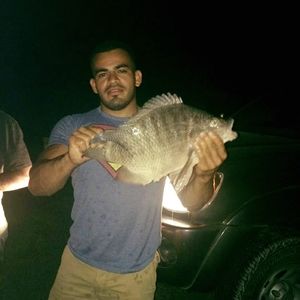 Meet your Posher, Fernando